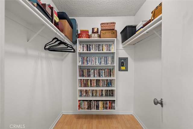 walk in closet with hardwood / wood-style flooring