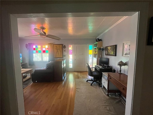 interior space featuring wood-type flooring, ceiling fan, and crown molding