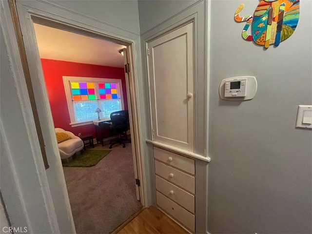 hallway with wood-type flooring