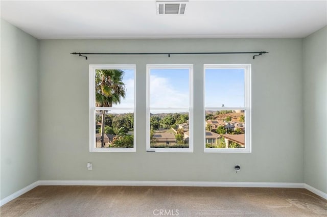 carpeted spare room with a wealth of natural light