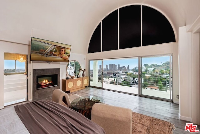 living room with wood-type flooring and high vaulted ceiling