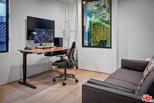 office space with light hardwood / wood-style floors