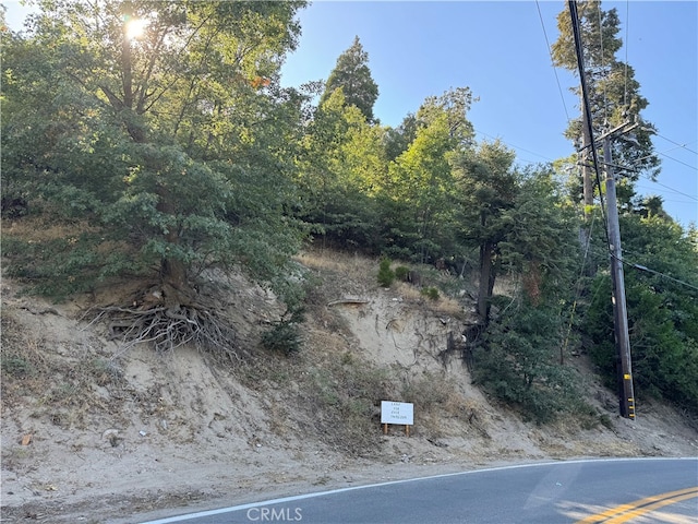 29602 Hook Creek Rd, Cedar Glen CA, 92321 land for sale