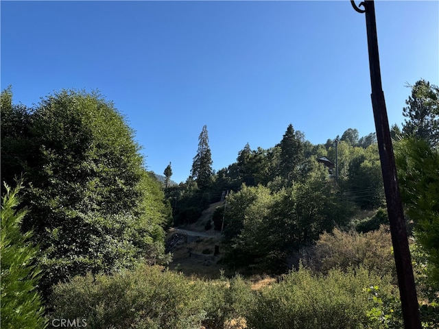 Listing photo 3 for 29602 Hook Creek Rd, Cedar Glen CA 92321