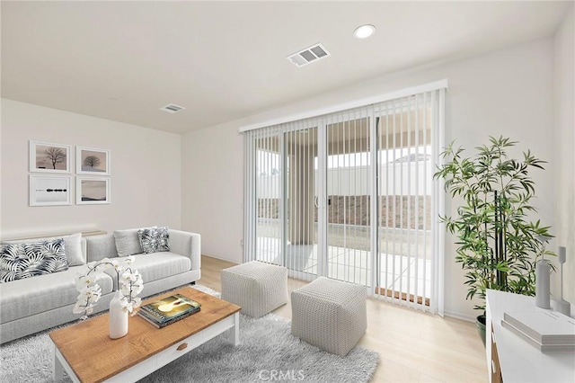 living room featuring light hardwood / wood-style flooring