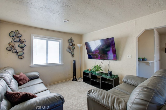 carpeted living room with ornamental molding and a textured ceiling