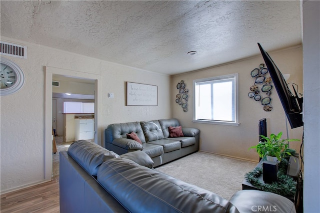 living room featuring a textured ceiling and hardwood / wood-style flooring