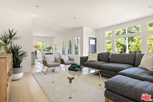 living room featuring light hardwood / wood-style floors and a healthy amount of sunlight