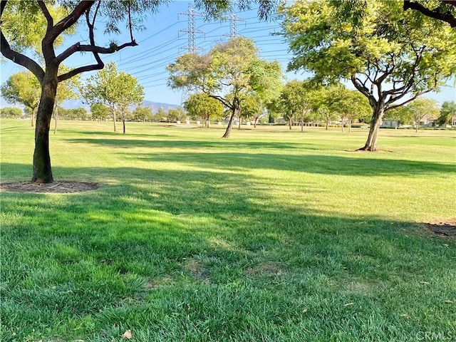 view of community with a yard