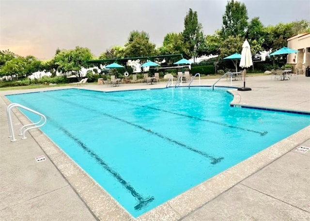 view of swimming pool featuring a patio