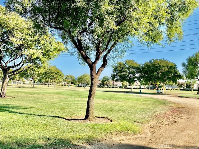 surrounding community with a lawn