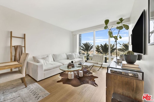 living room with hardwood / wood-style floors