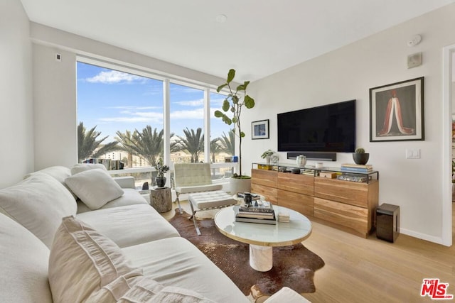 living room featuring light hardwood / wood-style flooring