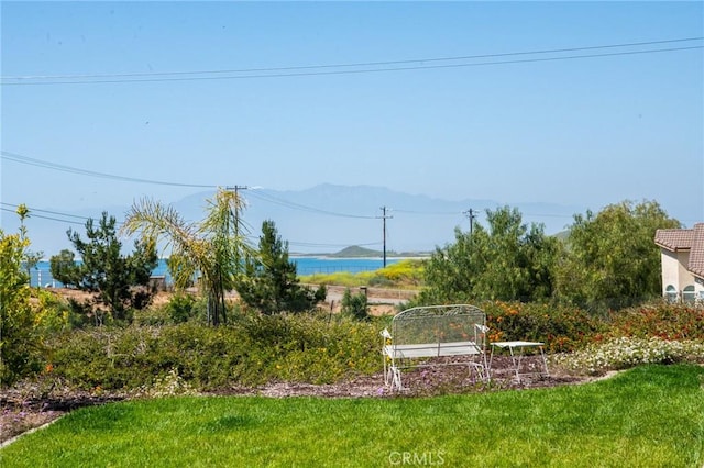 14010 Scenic View Rd, Perris, CA 92570 - photo 52
