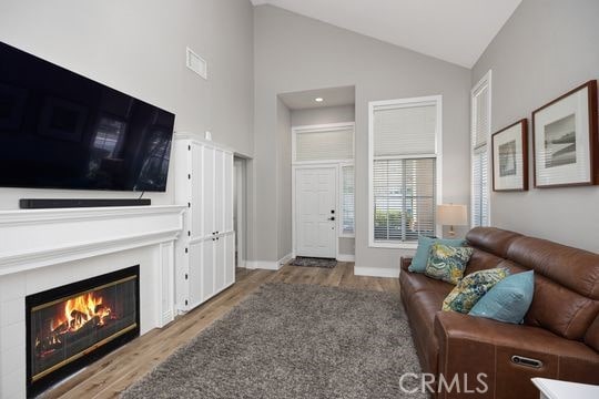 living room featuring hardwood / wood-style flooring and high vaulted ceiling