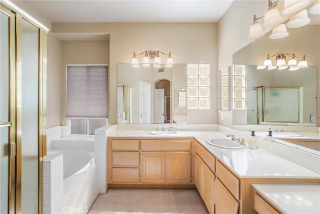 bathroom featuring vanity and independent shower and bath