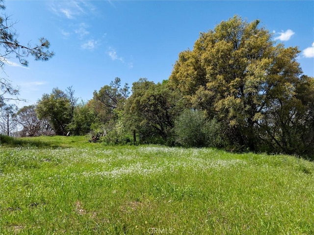 31188 Tera Tera Ranch Rd, North Fork, CA 93643 - view of nature