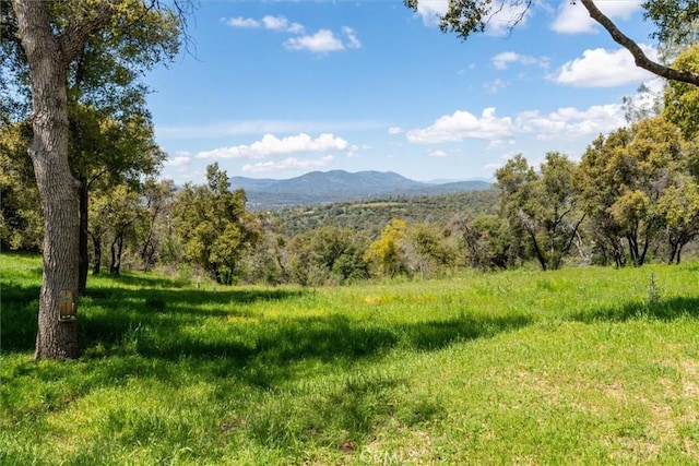 mountain view with a wooded view