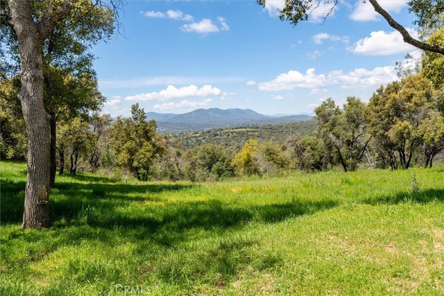 property view of mountains with a view of trees