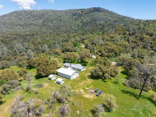 31188 Tera Tera Ranch Rd, North Fork, CA 93643 - view from above of property with a forest and a mountain backdrop