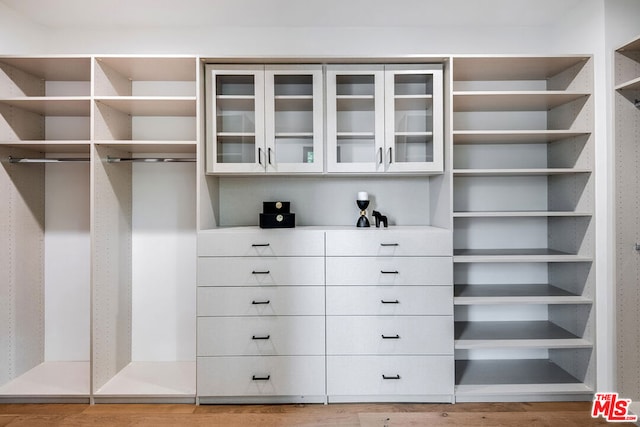 spacious closet featuring light hardwood / wood-style flooring