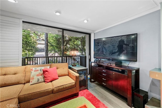 living room with light wood-type flooring