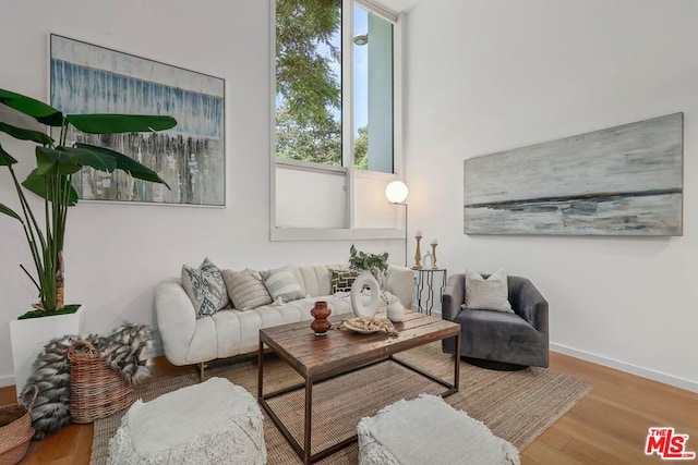 living room featuring hardwood / wood-style floors