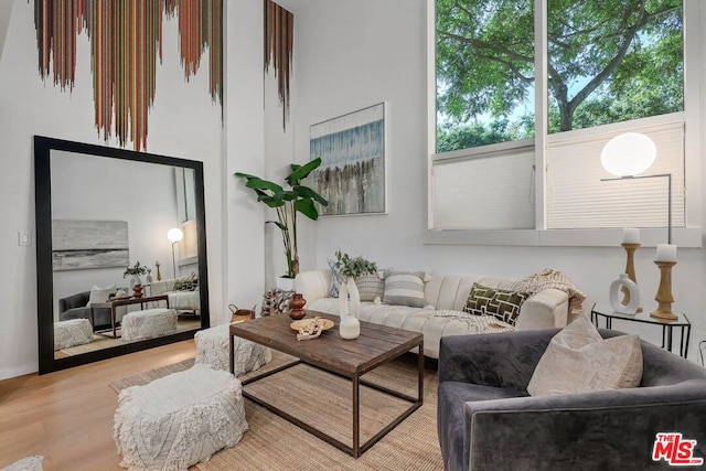 living room featuring light wood-type flooring