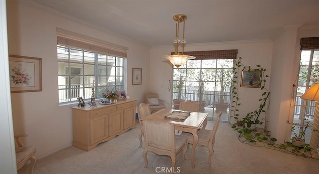 dining area featuring light colored carpet and ornamental molding