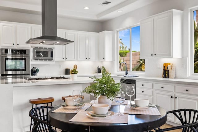 kitchen featuring appliances with stainless steel finishes, white cabinetry, sink, decorative backsplash, and island exhaust hood