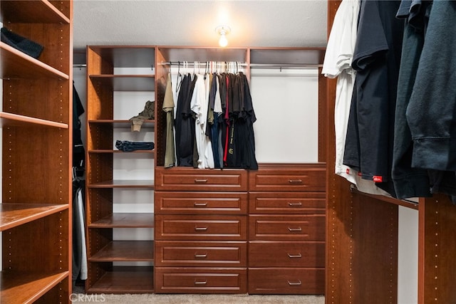 walk in closet with carpet flooring