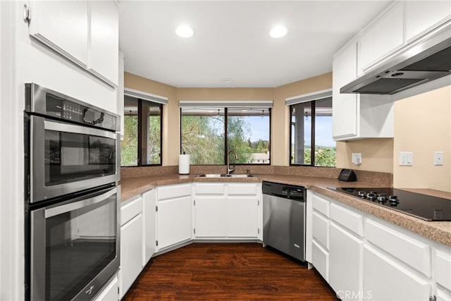 kitchen with stainless steel appliances, white cabinetry, wall chimney exhaust hood, and sink