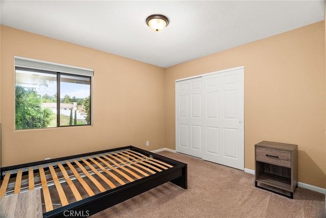 bedroom featuring carpet and a closet