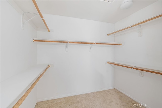 spacious closet with light colored carpet