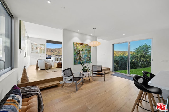 living room featuring light hardwood / wood-style floors