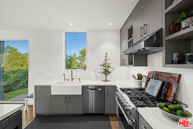 kitchen featuring gray cabinets, appliances with stainless steel finishes, sink, and dark hardwood / wood-style flooring