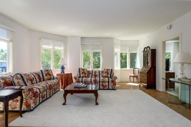 living room featuring dark hardwood / wood-style flooring