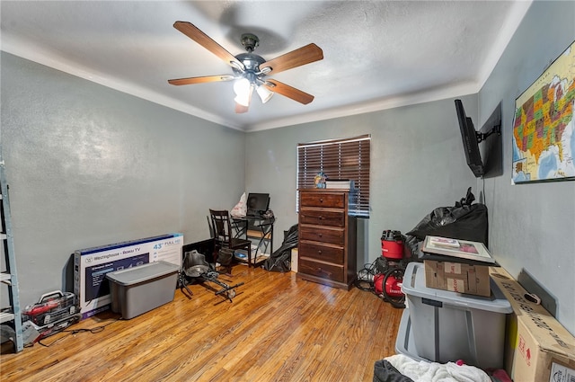 office featuring ceiling fan and light wood-type flooring