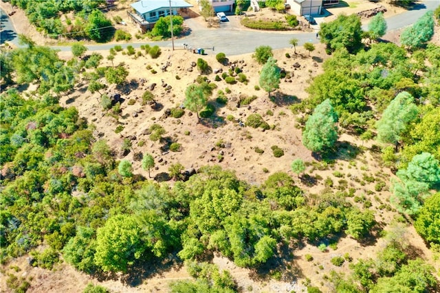 Listing photo 3 for 9836 Pinon Way, Kelseyville CA 95451