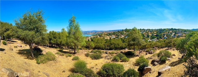 Listing photo 2 for 9836 Pinon Way, Kelseyville CA 95451