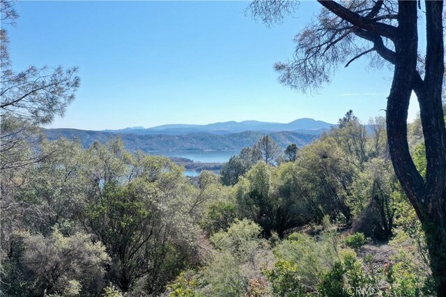 12403 Alta Vista Dr, Clearlake Oaks, CA 95423