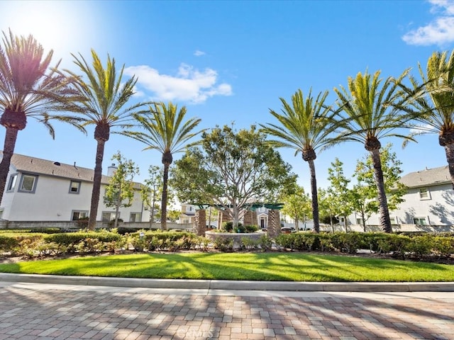 view of home's community featuring a yard