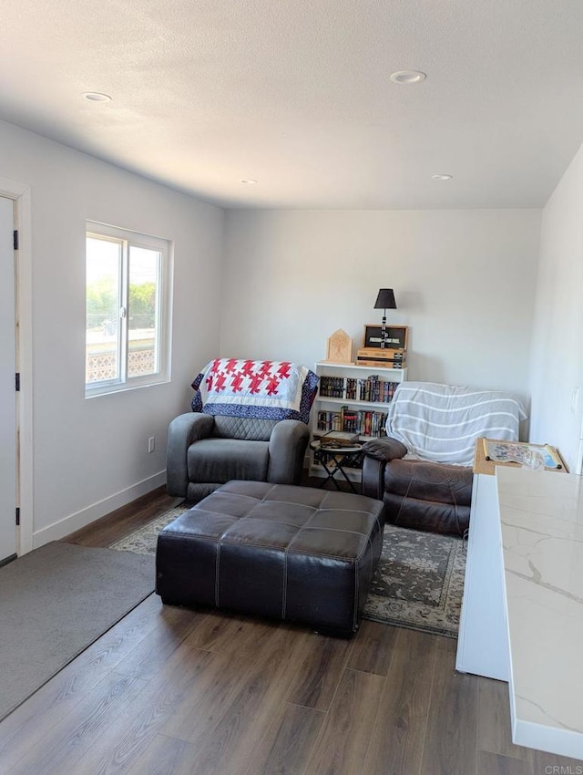 living room featuring dark wood-type flooring