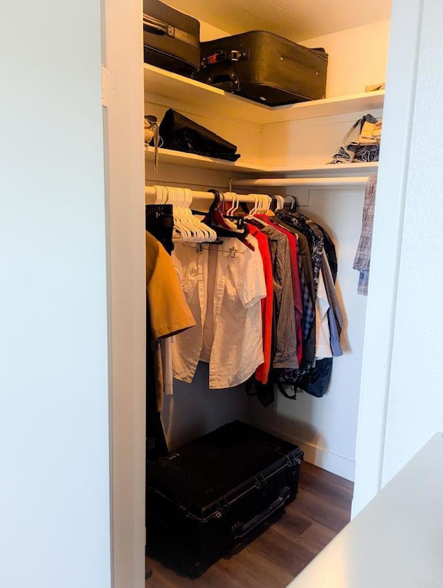 spacious closet with wood-type flooring