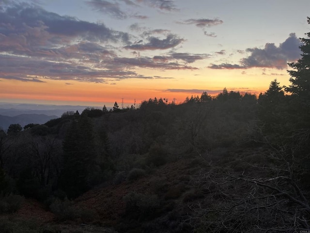 view of nature at dusk