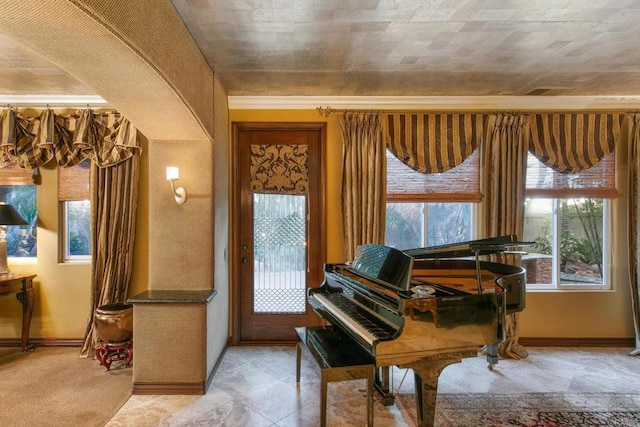 miscellaneous room with ornamental molding and light carpet