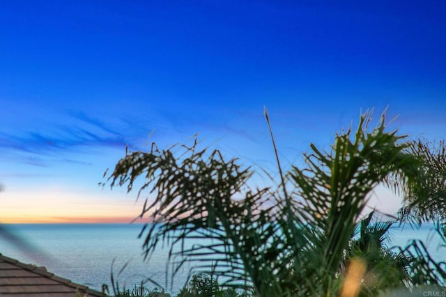 6557 Coneflower Dr, Carlsbad, CA 92011 - photo 1