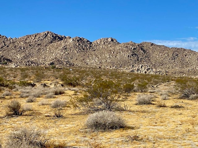 Listing photo 2 for 139 Twentynine Palms Hwy, Joshua Tree CA 92252