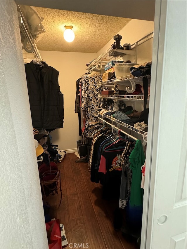 spacious closet featuring dark hardwood / wood-style flooring