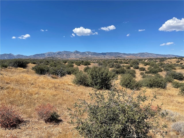 0 Barbet Ln, Phelan CA, 92371 land for sale